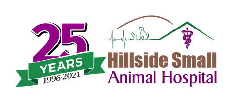 Hillside Small Animal Hospital